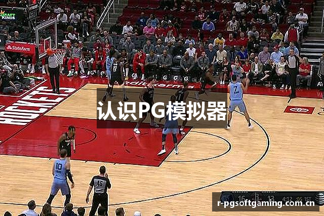 认识PG模拟器
